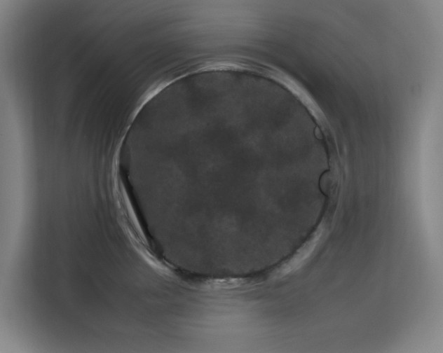 X0000112930858200908311316