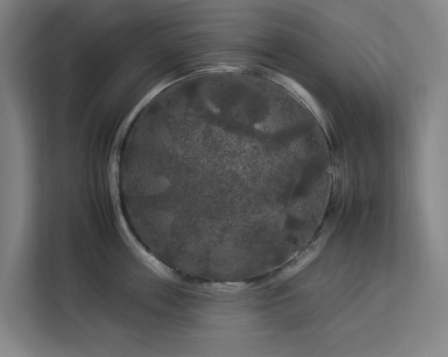 X0000112930859200908311316