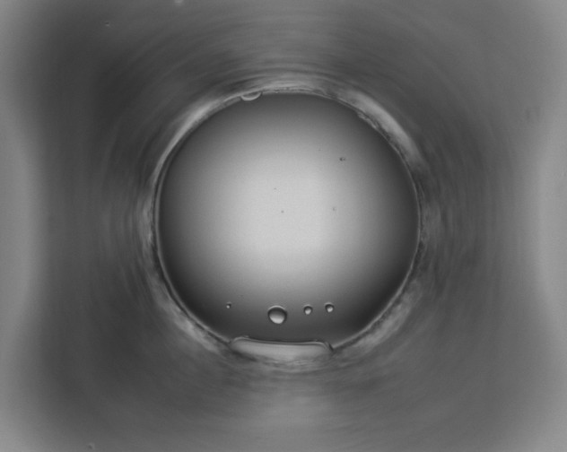 X0000112930860200908311316