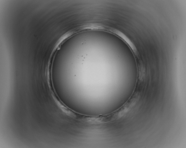 X0000112930861200908311316