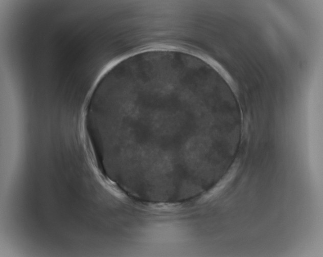 X0000112930862200908311316