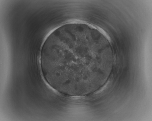 X0000112930863200908311316