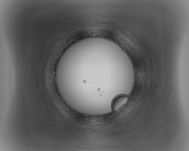 X0000112930865200908311315