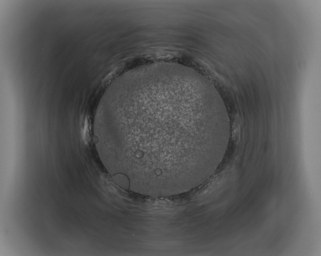 X0000112930866200908311315