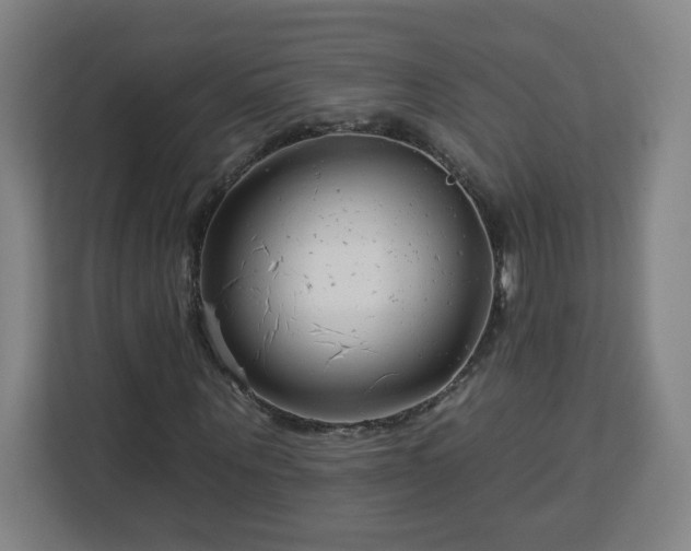 X0000112930867200908311315