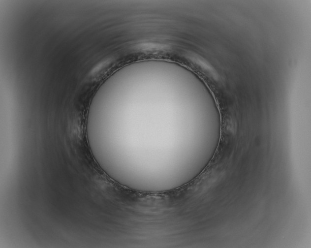 X0000112930869200908311315