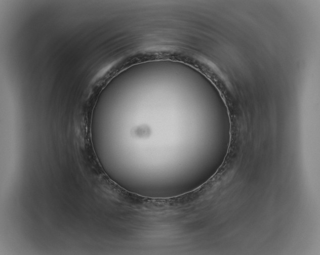 X0000112930871200908311315