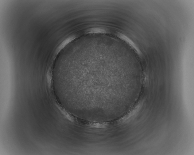 X0000112930874200908311315