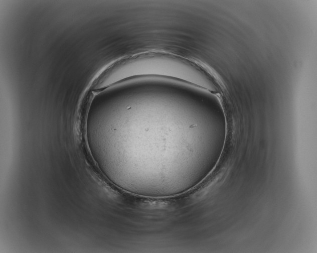 X0000112930878200908311315