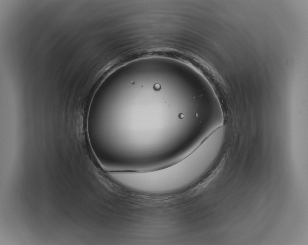 X0000112930881200908311315