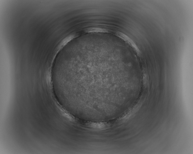 X0000112930882200908311315