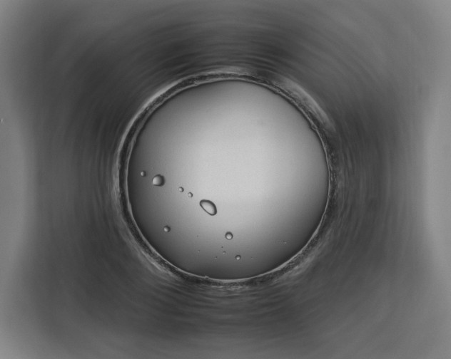 X0000112930884200908311315