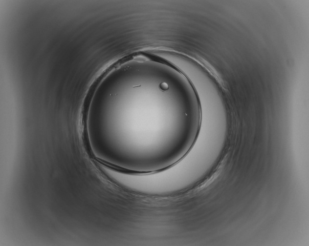 X0000112930885200908311315