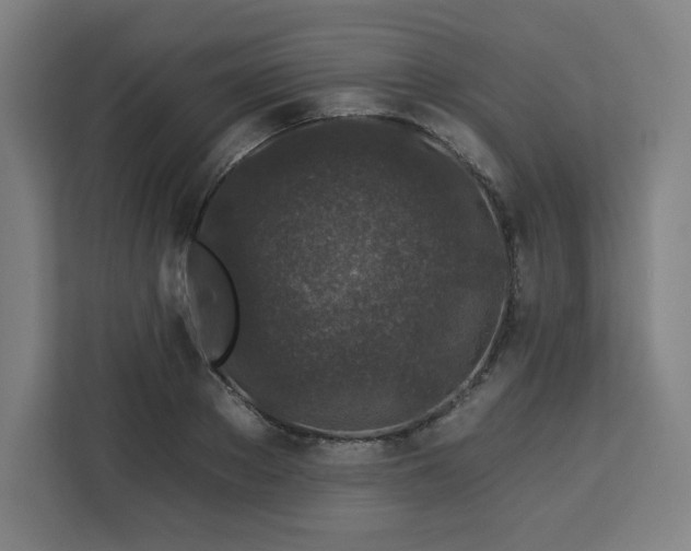 X0000112930889200908311315