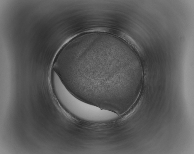 X0000112930892200908311315