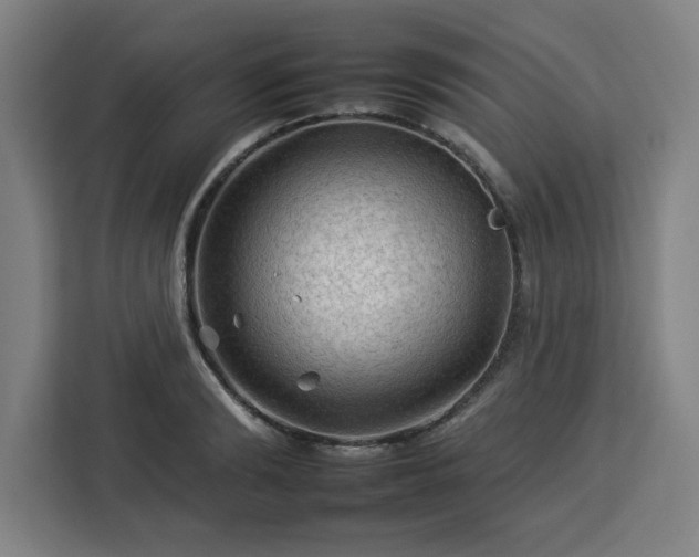 X0000112930894200908311315