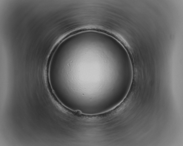 X0000112930895200908311315