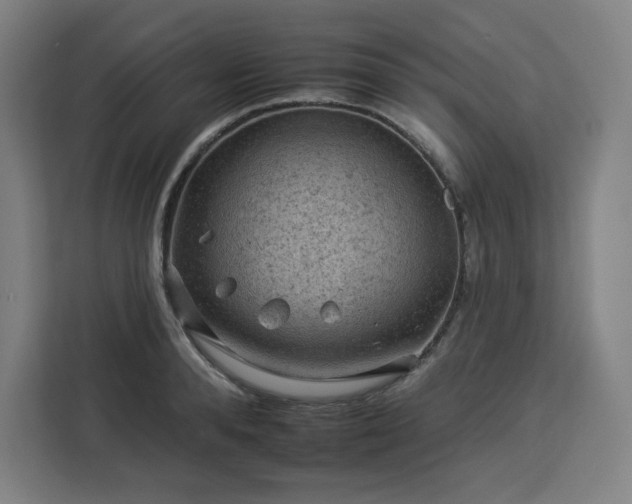 X0000112930896200908311315