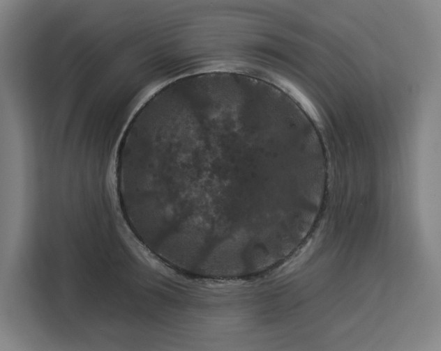 X0000112930899200908311315