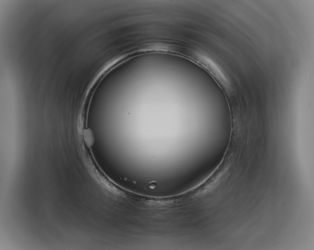 X0000112930900200908311315