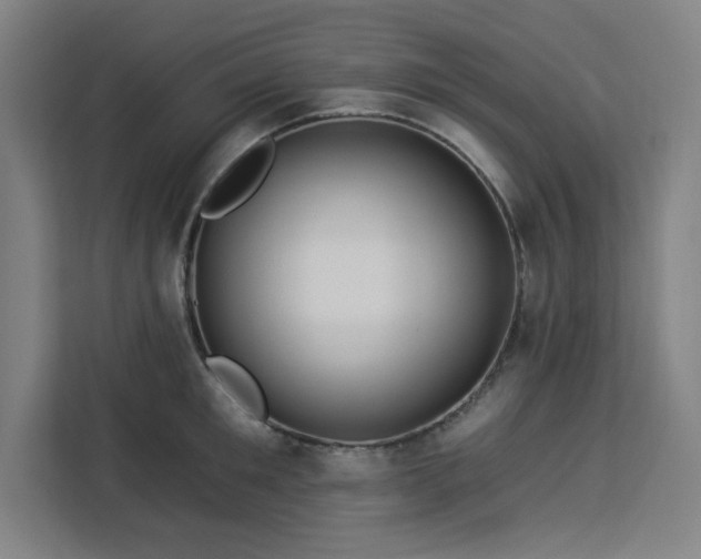 X0000112930901200908311315