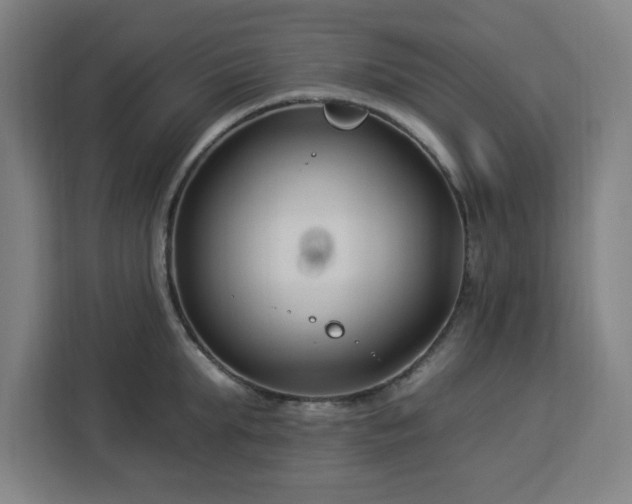 X0000112930903200908311315