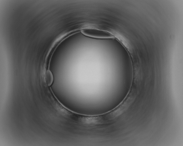 X0000112930904200908311315