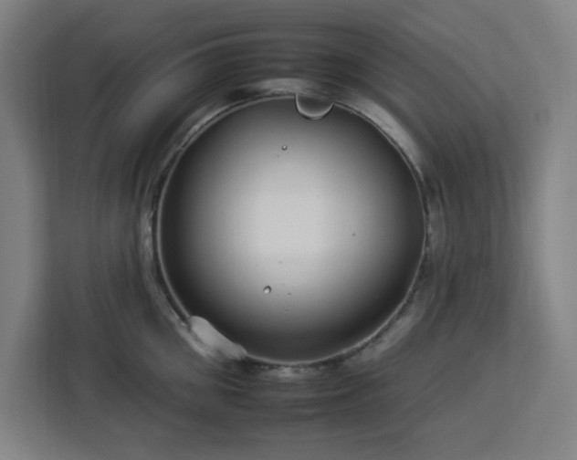 X0000112930906200908311315