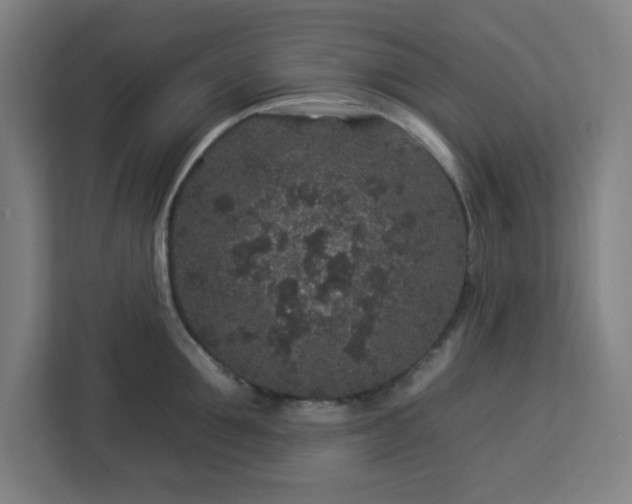 X0000112930907200908311315