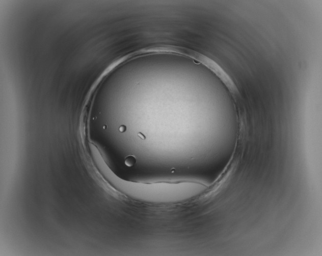 X0000112930908200908311315