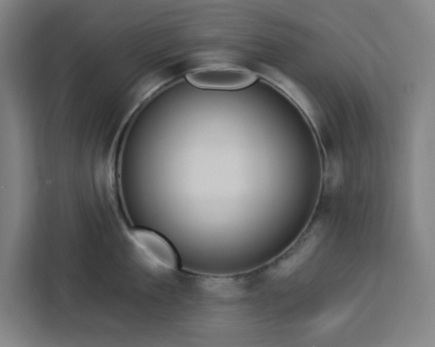 X0000112930909200908311315