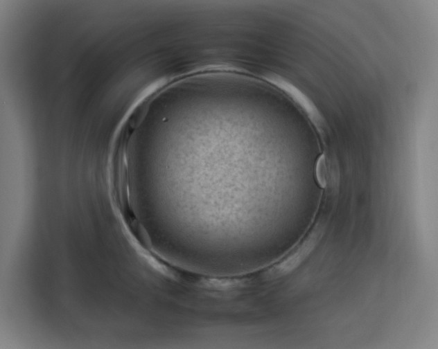 X0000112930910200908311315