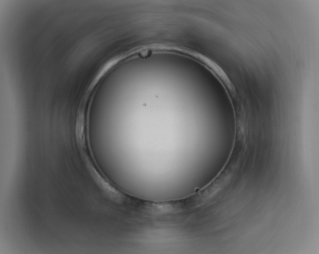 X0000112930911200908311315