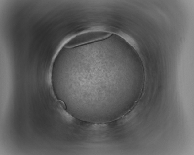 X0000112930912200908311315