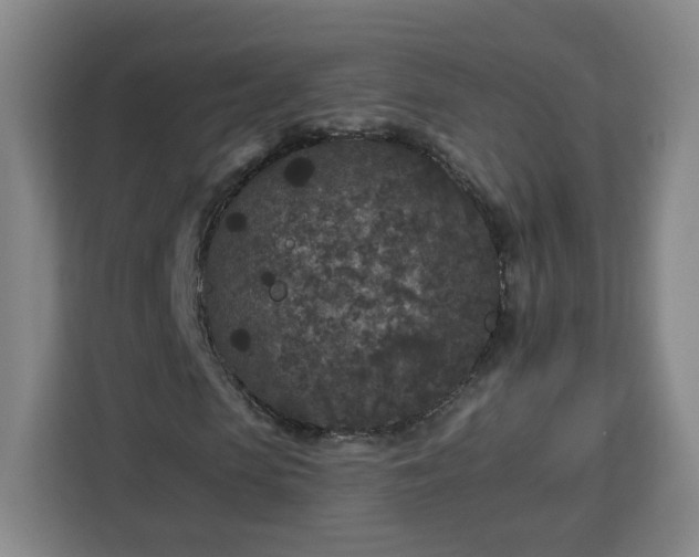 X0000112930913200908311314