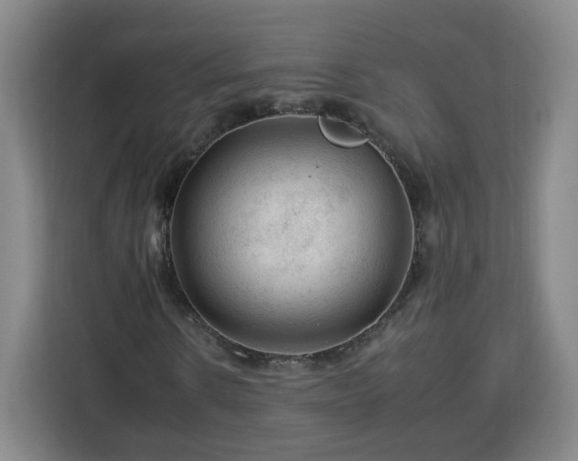 X0000112930914200908311314