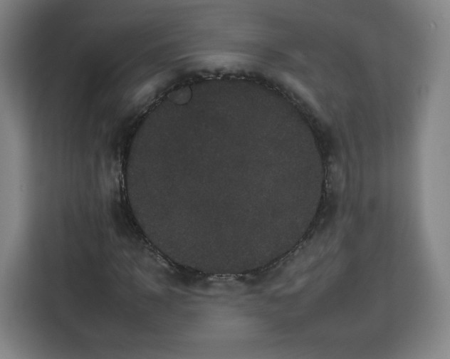 X0000112930918200908311314