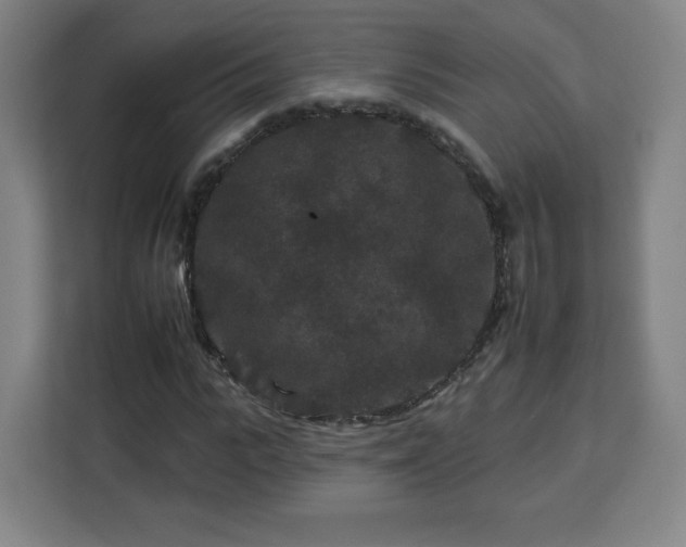 X0000112930919200908311314