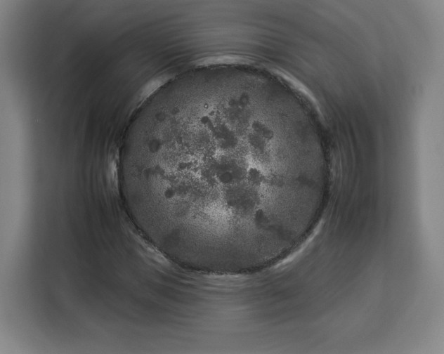 X0000112930921200908311314