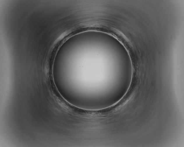 X0000112930922200908311314