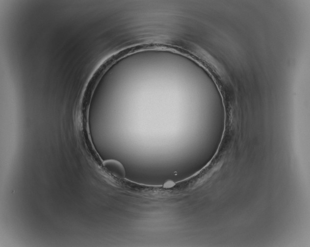 X0000112930924200908311314