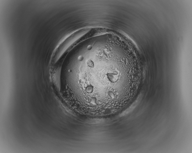 X0000112930925200908311314