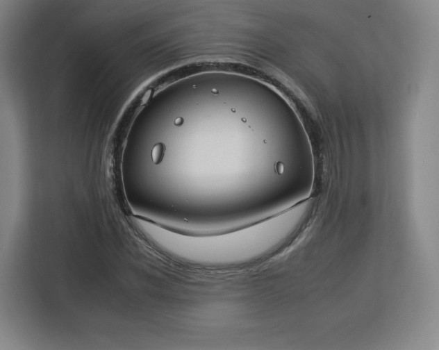 X0000112930926200908311314