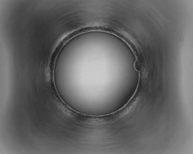 X0000112930927200908311314