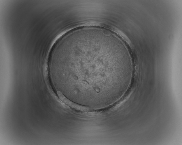 X0000112930928200908311314