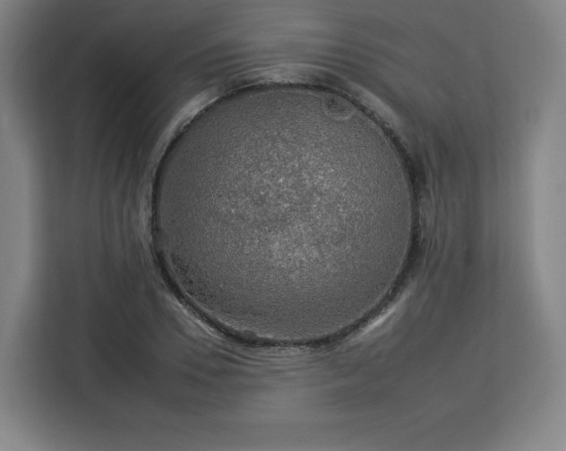 X0000112930930200908311314