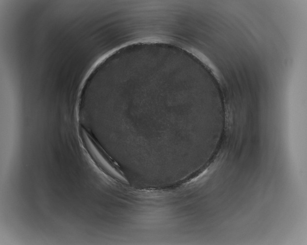 X0000112930935200908311314