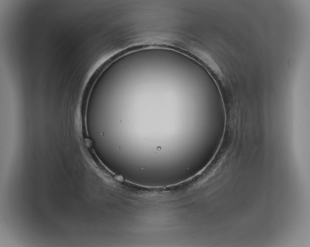 X0000112930936200908311314