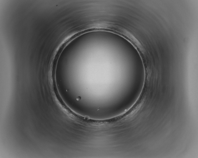 X0000112930939200908311315