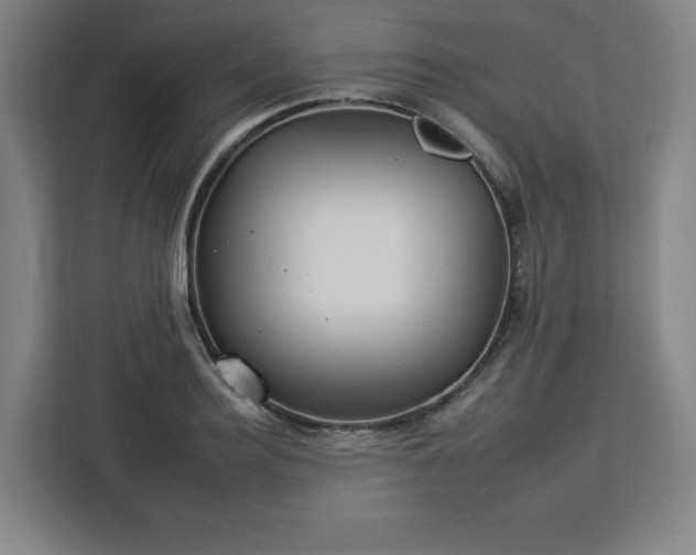 X0000112930940200908311315